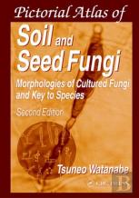 Soils And Global Change