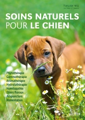 Soins Naturels Pour Le Chien