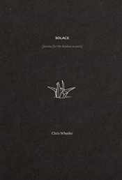 Solace: Poems For The Broken Season