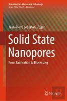 Solid State Nanopores