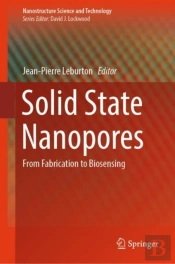 Solid State Nanopores