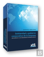 Solidaridad Y Gobierno Corporativo De La Empresa