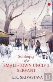 Soliloquy Of A Small-Town Uncivil Servant