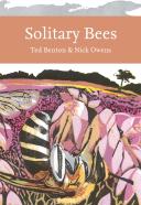 Solitary Bees