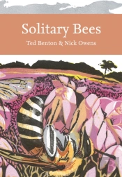 Solitary Bees