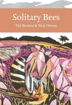 Bertrand.pt - Solitary Bees