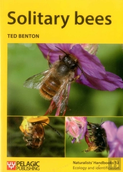 Bertrand.pt - Solitary Bees