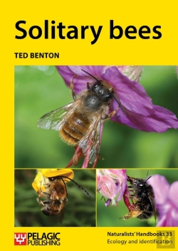 Bertrand.pt - Solitary Bees