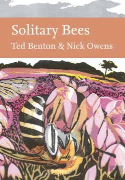 Bertrand.pt - Solitary Bees