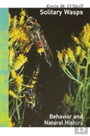 Solitary Wasps