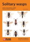 Solitary Wasps
