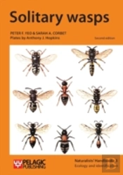 Solitary Wasps
