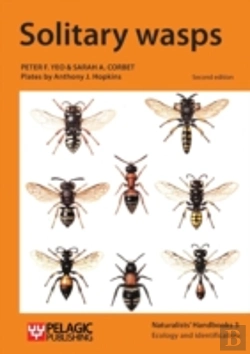 Bertrand.pt - Solitary Wasps