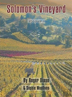Bertrand.pt - Solomon'S Vineyard