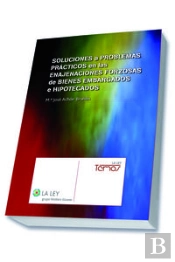 Soluciones A Problemas Prácticos En Las Enajenaciones Forzosas De Bienes Embargados E Hipotecados