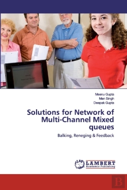 Bertrand.pt - Solutions For Network Of Multi-Channel Mixed Queues