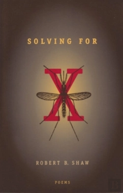 Bertrand.pt - Solving For X