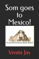 Som Goes To Mexico!