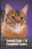 Somali Cats - A Complete Guide