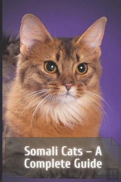 Bertrand.pt - Somali Cats - A Complete Guide