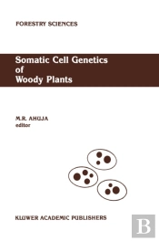 Somatic Cell Genetics Of Woody Plants