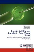 Somatic Cell Nuclear Transfer In Goat (Capra Hircus)