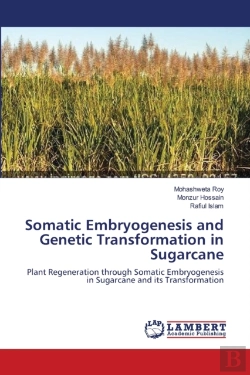 Bertrand.pt - Somatic Embryogenesis And Genetic Transformation In Sugarcane