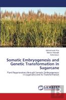 Somatic Embryogenesis And Genetic Transformation In Sugarcane