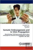 Somatic Embryogenesis And In Vitro Propagation