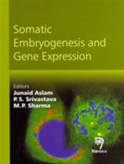 Somatic Embryogenesis & Gene Expression