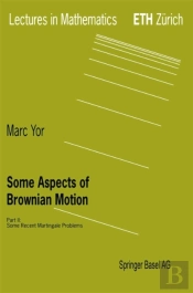 Some Aspects Of Brownian Motion