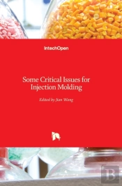 Some Critical Issues For Injection Molding