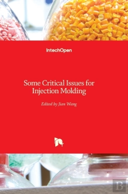 Bertrand.pt - Some Critical Issues For Injection Molding