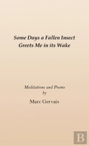 Some Days A Fallen Insect Greets Me In I
