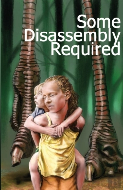 Bertrand.pt - Some Disassembly Required