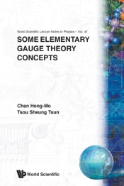 Some Elementary Gauge Theory Concepts