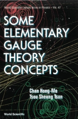 Bertrand.pt - Some Elementary Gauge Theory Concepts
