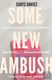 Some New Ambush