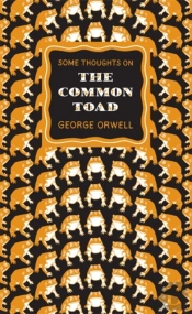Some Thoughts On The Common Toad