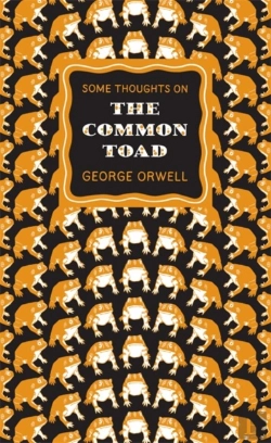 Bertrand.pt - Some Thoughts On The Common Toad