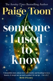 Someone I Used To Know