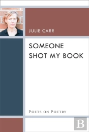 Someone Shot My Book