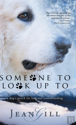 Bertrand.pt - Someone To Look Up To