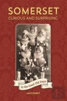 Somerset Curious And Surprising