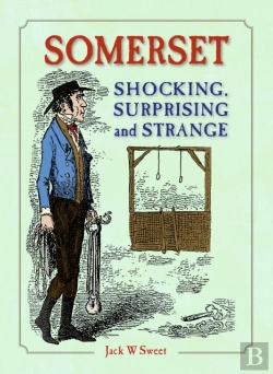 Bertrand.pt - Somerset Shocking, Surprising And Strange