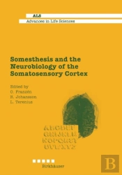 Somesthesis And The Neurobiology Of The Somatosensory Cortex