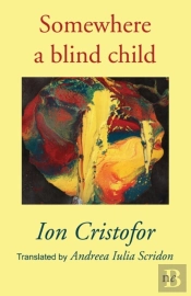 Somewhere A Blind Child