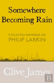 Somewhere Becoming Rain