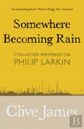 Somewhere Becoming Rain