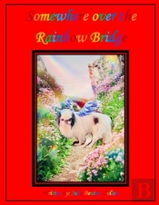 Somewhere Over The Rainbow Bridge